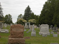 walton, new york, cemetery, ny, association