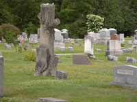 walton, new york, cemetery, ny, association